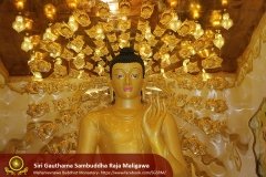 Buddha_Rashmi_And_New_Sculptures_(10)