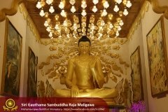 Buddha_Rashmi_And_New_Sculptures_(11)