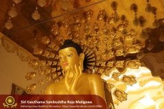 Buddha_Rashmi_And_New_Sculptures_(13)