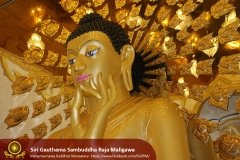 Buddha_Rashmi_And_New_Sculptures_(28)