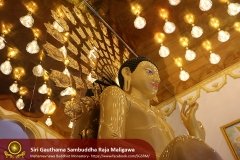 Buddha_Rashmi_And_New_Sculptures_(29)