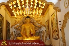 Buddha_Rashmi_And_New_Sculptures_(31)