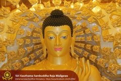 Buddha_Rashmi_And_New_Sculptures_(33)
