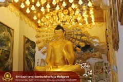 Buddha_Rashmi_And_New_Sculptures_(35)