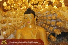 Buddha_Rashmi_And_New_Sculptures_(36)