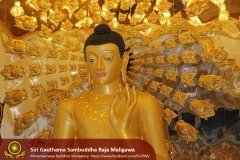 Buddha_Rashmi_And_New_Sculptures_(37)