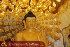Buddha_Rashmi_And_New_Sculptures_(38)