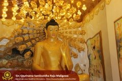 Buddha_Rashmi_And_New_Sculptures_(40)