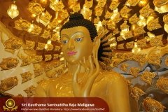 Buddha_Rashmi_And_New_Sculptures_(41)