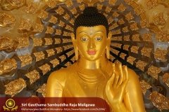 Buddha_Rashmi_And_New_Sculptures_(42)