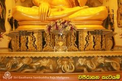 Buddha_Rashmi_And_New_Sculptures_(47)