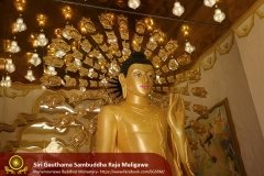Buddha_Rashmi_And_New_Sculptures_(9)