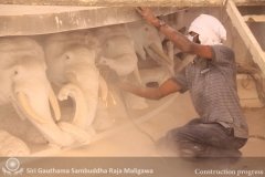 Construction_Progress_(46)