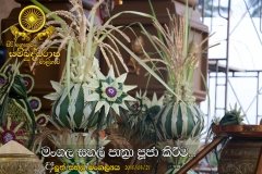 New_Rice_Festival_(15)