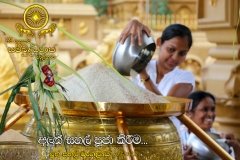 New_Rice_Festival_(23)