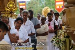 New_Rice_Festival_(27)