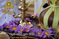 New_Rice_Festival_(31)