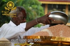 New_Rice_Festival_(35)