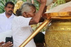 New_Rice_Festival_(36)