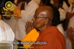 New_Rice_Festival_(39)