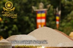 New_Rice_Festival_(42)