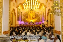 New_Rice_Festival_(43)