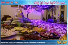 Nilagiri_Relics_(16)