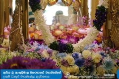 Relics_Puja_of_Arahant_Angulimala_(89)